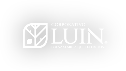 Corporativo Luin